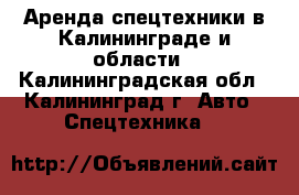 Аренда спецтехники в Калининграде и области - Калининградская обл., Калининград г. Авто » Спецтехника   